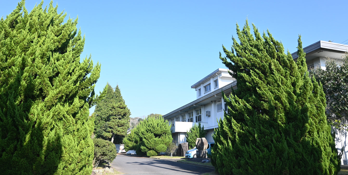 ハイハイ積み木