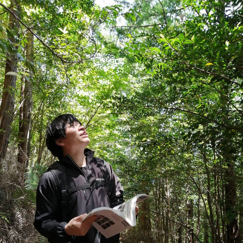 森の香り積み木